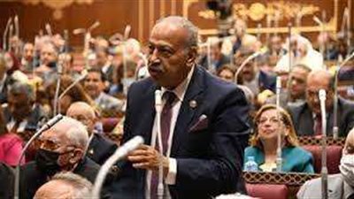 هاني العسال: مبادرة منتدى شباب العالم تتكامل مع جهود مصر الرامية لإحياء مسار السلام