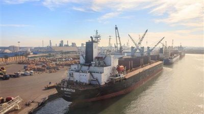 ميناء دمياط يستقبل 11 سفينة خلال الـ 24 ساعة الماضية