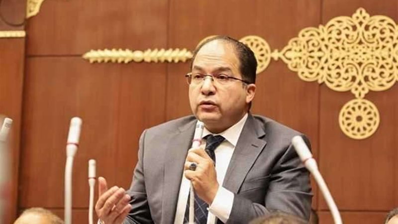 النائب عادل اللمعي