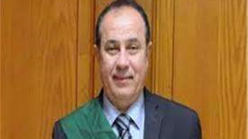 المستشار وجدى عبد