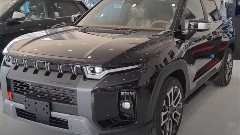 سانج يونج توريس -