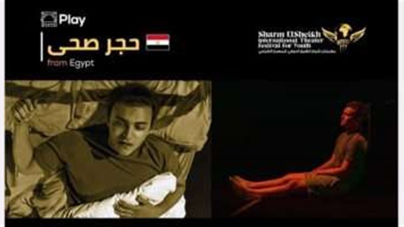 عرض حجر صحى