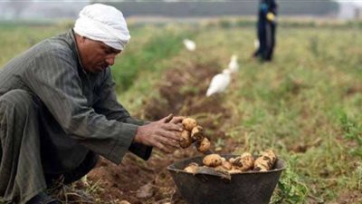 ماذا يريد فلاحين مصر من الرئيس القادم؟.. النقيب يوضح