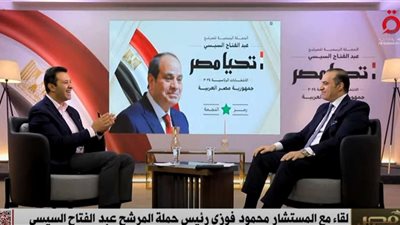 المستشار محمود فوزي : الثوابت المصرية واضحة لا لتصفية القضية الفلسطينية لا لتهجير الفلسطينيين