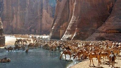 خاص| صفقات مجانية.. خبراء يكشفون ل 