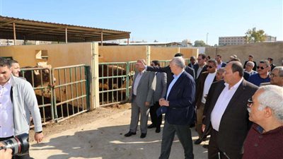 وزير الزراعة يفتتح أكبر مركز للتلقيح الاصطناعي بمنطقة الشرق الأوسط في إطار المبادرة الرئاسية حياة كريمة