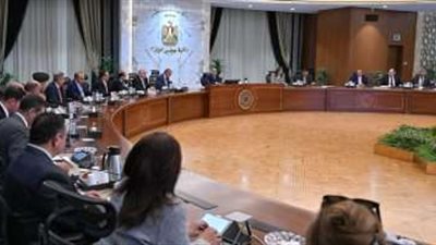 مدبولي: الحكومة تتابع موقف أسعار السلع المختلفة في الأسواق وما يحدث من تقلبات