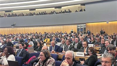 عاجل |فوز مصر بعضوية مجلس المنظمة البحرية الدولية الفئة (C)