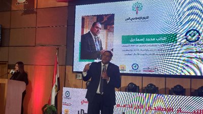 محمد اسماعيل: المرشح عبدالفتاح السيسي نجح في معركة بقاء الدولة واستعادة الأمن والاستقرار