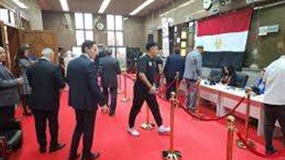 الجالية المصرية بالإمارات: القنصلية قدمت تسهيلات كبيرة جدا للناخبين للتصويت في الانتخابات الرئاسية