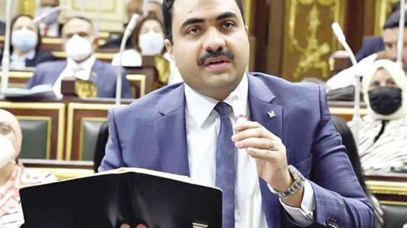 النائب محمود قاسم