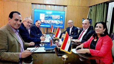 اتحاد المصريين بالخارج: إقبال الناخبين من أبناء الجاليات المصرية بالخارج فاق توقعتنا