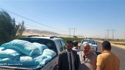 تحرير 82 محضرًا تموينيًا متنوعًا بسوهاج