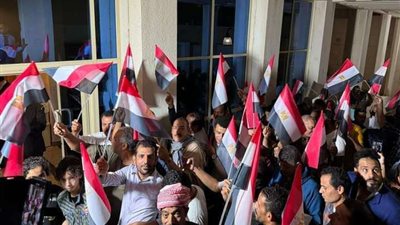 إقبال كثيف للجاليات المصرية بالخارج في اليوم الأخير للتصويت بالانتخابات الرئاسية