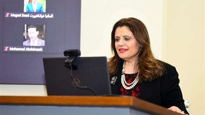 غرفة عمليات الهجرة: إقبال ملحوظ باليوم الثالث للانتخابات بالدول الأوروبية