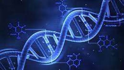 داعية إسلامي: هناك تعارض بين الشرع وتحليل الـ DNA
