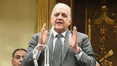 طاقة النواب: احتشاد المصريين بالخارج في الانتخابات  يبعث رسالة قوية للعالم بأن أبناء مصر حريصون إعلاء المصالح العليا للوطن