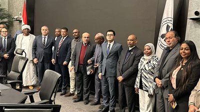 عضو «أفريقية النواب»: القيادة السياسية لديها إصرار على وضع بوابة الجنوب على خريطة الاستثمار العالمية