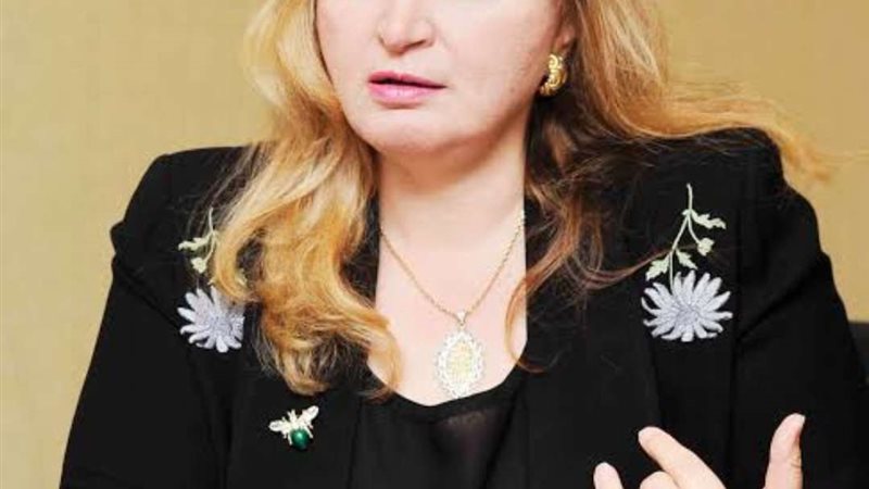 الخبيرة المصرفية
