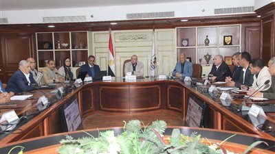 بني سويف: تخصيص 4 لجان للمغتربين للتصويت في الانتخابات الرئاسية