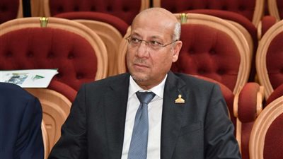 برلماني: المشاركة بكثافة في الانتخابات الرئاسية دليل على دعم القيادة السياسية لاستكمال البناء