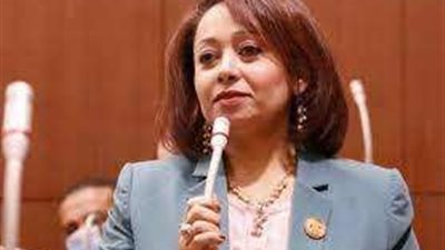 أمين سر حقوق الإنسان بالشيوخ: أراهن على وعي المصريون في المشاركة بكثافة في  الانتخابات المقبلة