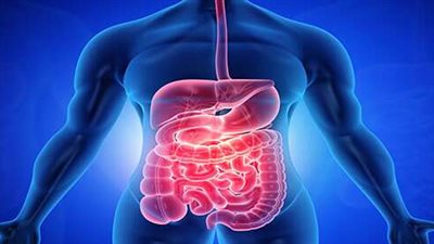 أستاذ مناعة يحذر من عادات تؤدى لتدمير الجهاز المناعى