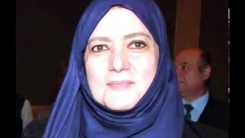 شمس البارودي
