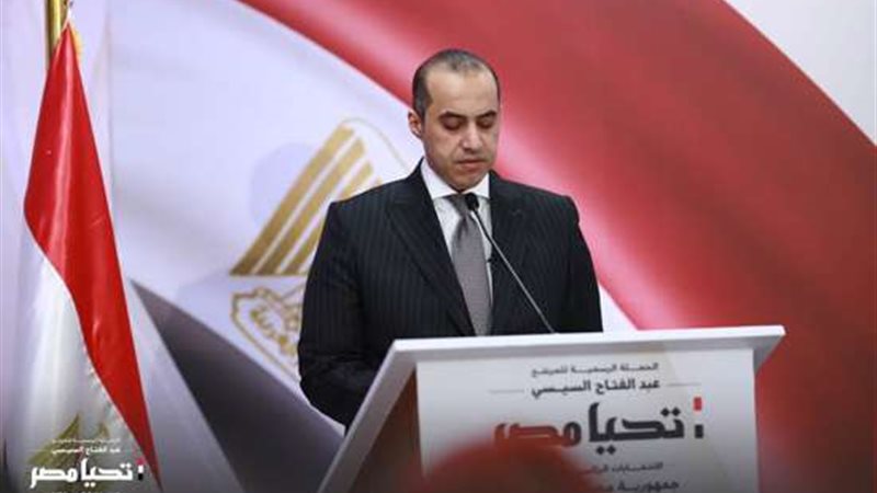 المستشار محمود فوزى