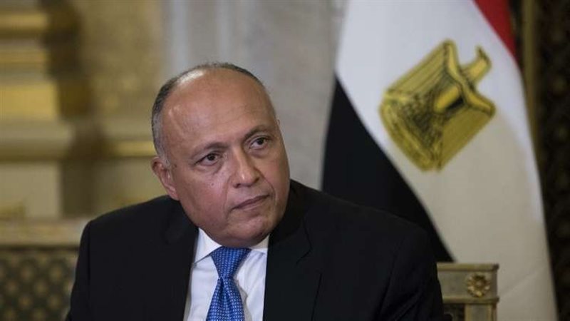 سامح شكري وزير الخارجية