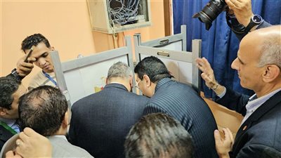 رئيس لجنة عامة في الوادي الجديد: الانتخابات تسير بشكل جيد