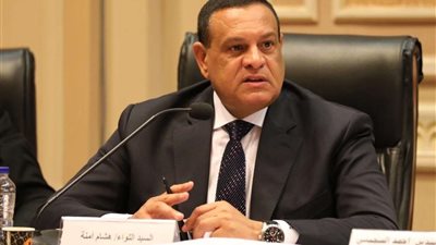 «آمنة»: المحافظات تشهد إقبالاً كبيرًا من الناخبين من كافة الفئات العمرية ..والشباب والمرأة يتصدران المشهد الانتخابي