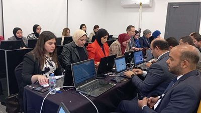 «التنسيقية» تواصل متابعة الانتخابات الرئاسية في اليوم الثاني