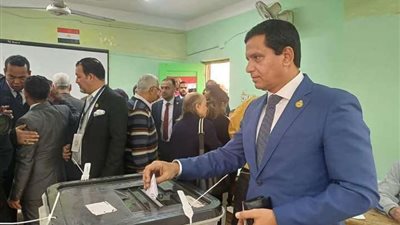 نصير: طوابير المصريين أمام صناديق الاقتراع تدعو للفخر والاعتزاز