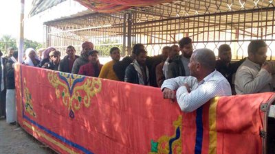 إقبال كبير من المواطنين أمام اللجان بالإسماعيلية للإدلاء بأصواتهم في الانتخابات الرئاسية