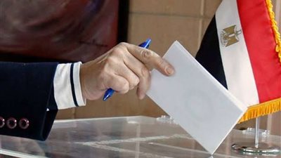 نقيب صيادين دمياط: الانتخابات الرئاسية تُقام في مناخ رائع يعكس الروح الوطنية للمواطن المصري