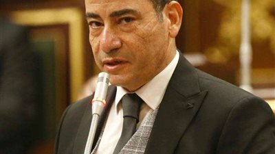 مجاهد نصار: مشاركة 45٪ من الناخبين في الانتخابات رسالة قوية بزيادة وعي المصريين للتصويت من أجل الوطن