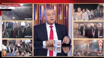 وزير البترول الأسبق: الشعب المصري قدم صورة مشرفة لأول يومين من الانتخابات الرئاسية