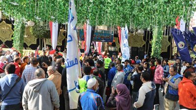 مسيرات الحاشدة بالأعلام أمام اللجان الانتخابية بالمنوفية (صور)