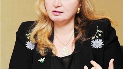 سهر الدماطي: تنظيم وسير العملية الانتخابية أرسى مردود إيجابي للشعب المصري أمام دول العال