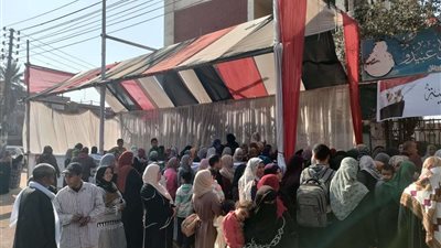 استمرار توافد المواطنين بالجيزة للمشاركة في اليوم الثالث للانتخابات الرئاسية