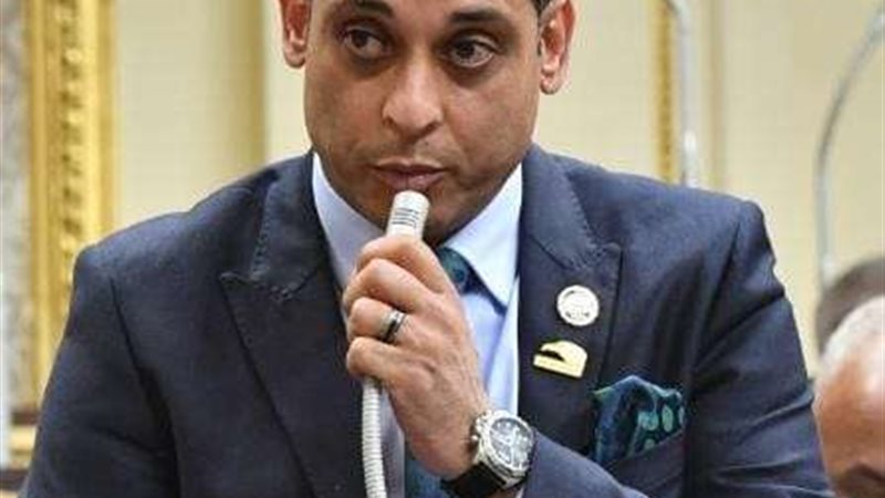 النائب محمد نشأت