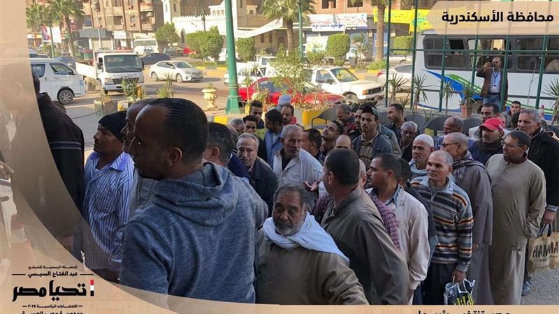 الحشد الانتخابي بالسكندرية