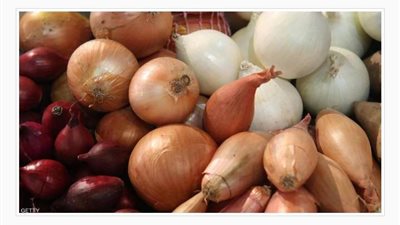 بعد وصوله 40 جنيهًا.. نقيب الفلاحين يكشف موعد انخفاض سعر البصل