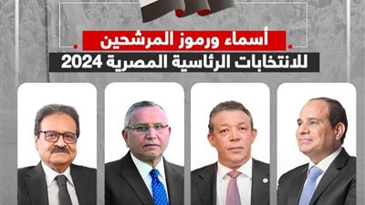 أستاذ علوم سياسية: الرئيس الجديد المنتخب سيكون محملا بالضغوط والأعباء الكثيرة