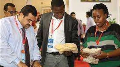 غرفة الصناعات الغذائية المصرية: نعمل وفق استراتيجية شاملة لتطوير ونمو القطاع