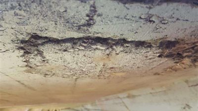 بداية من غد السبت ... غلق كوبرى أخميم العلوي لقيام الهيئة العامة للطرق والكباري بالبدء في أعمال الصيانة العاجلة للكوبري