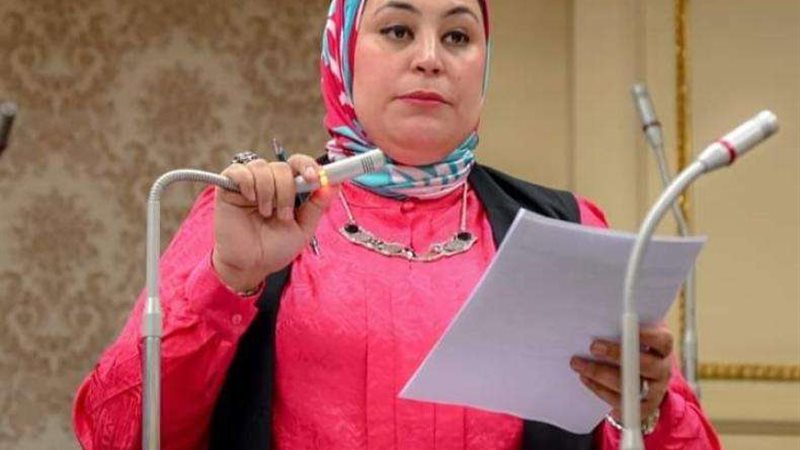 النائبة ولاء التمامي
