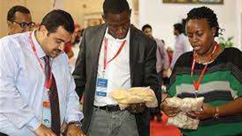 فود أفريكان 2023