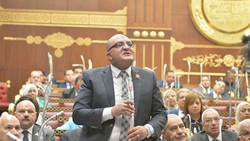 النائب عمرو عزت